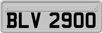 BLV2900