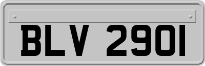 BLV2901