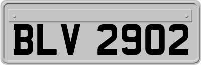 BLV2902