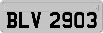 BLV2903