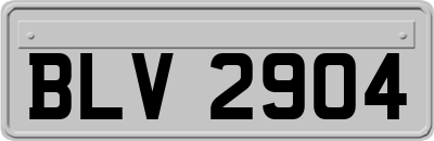 BLV2904