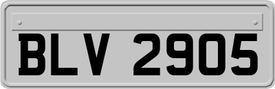 BLV2905