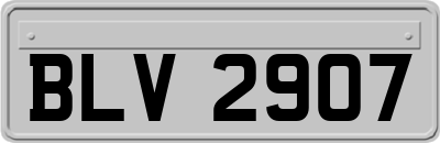 BLV2907