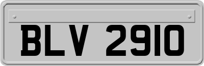 BLV2910