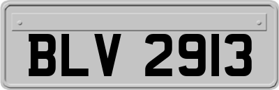 BLV2913