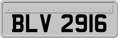 BLV2916