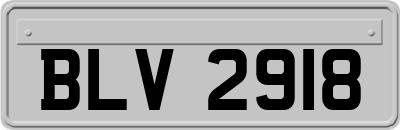 BLV2918