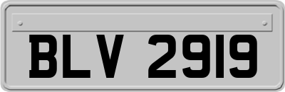 BLV2919