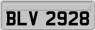 BLV2928