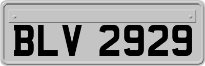 BLV2929