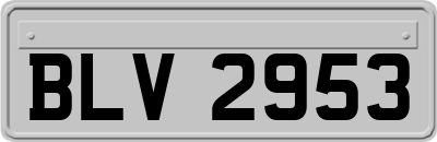 BLV2953