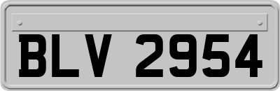 BLV2954