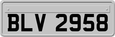 BLV2958