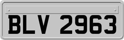 BLV2963