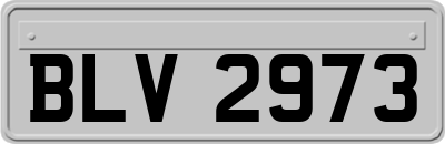 BLV2973