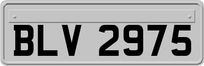 BLV2975