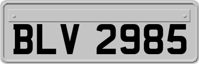 BLV2985