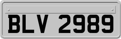 BLV2989