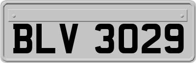 BLV3029