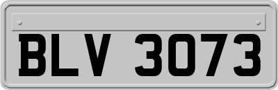 BLV3073