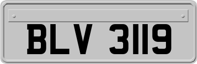 BLV3119