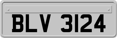 BLV3124