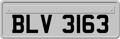 BLV3163