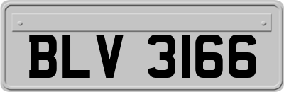 BLV3166