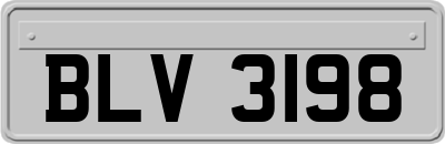 BLV3198