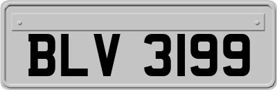 BLV3199