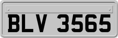 BLV3565