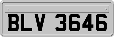 BLV3646