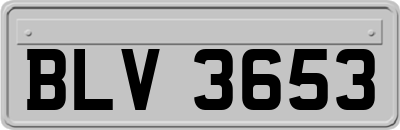 BLV3653