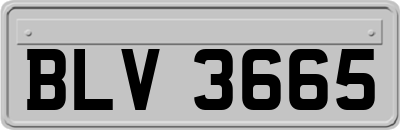 BLV3665