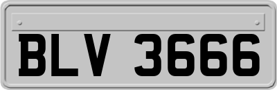 BLV3666