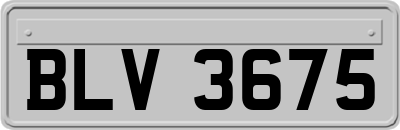BLV3675