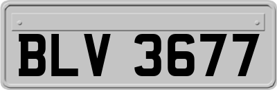 BLV3677