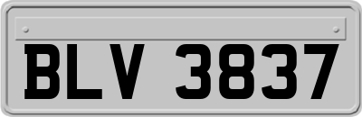 BLV3837