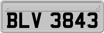 BLV3843