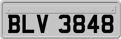 BLV3848