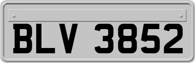 BLV3852