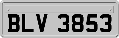 BLV3853