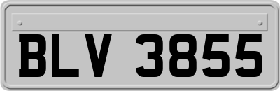 BLV3855
