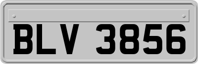 BLV3856