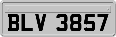 BLV3857