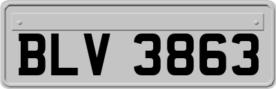 BLV3863