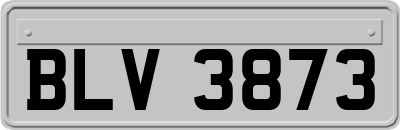 BLV3873