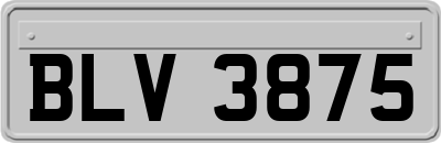 BLV3875