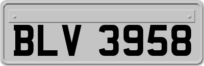 BLV3958