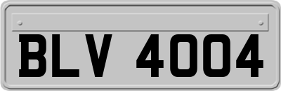 BLV4004